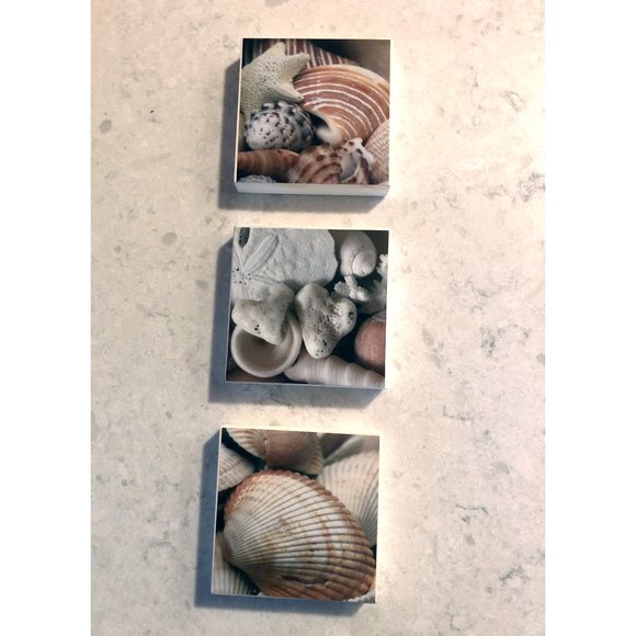 Three 4x4 Seashell Photo Blocks - Picture 4 of 4